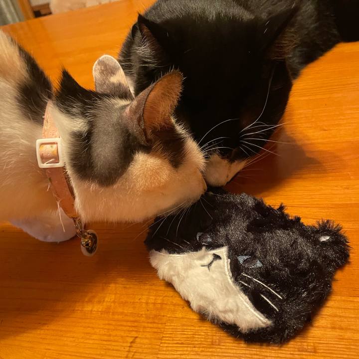 A9f44933 09bb 4f31 9775 aa9a805628fe 1732179929843