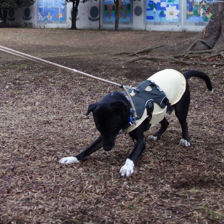 A9f4a3b3 2b51 4530 bccc 4582ac36149e 1643157722410