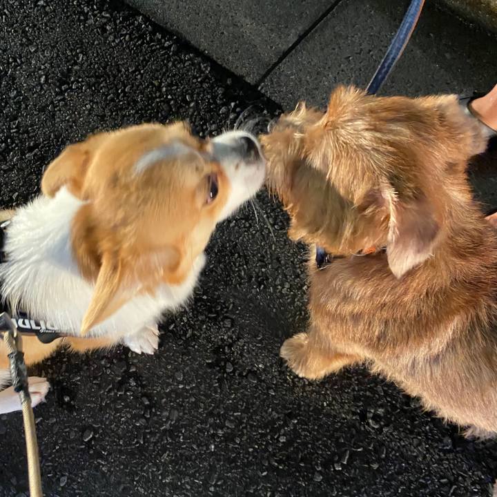 A9f4b2db 2913 4f59 b109 457d9cbdc820 1599044524815