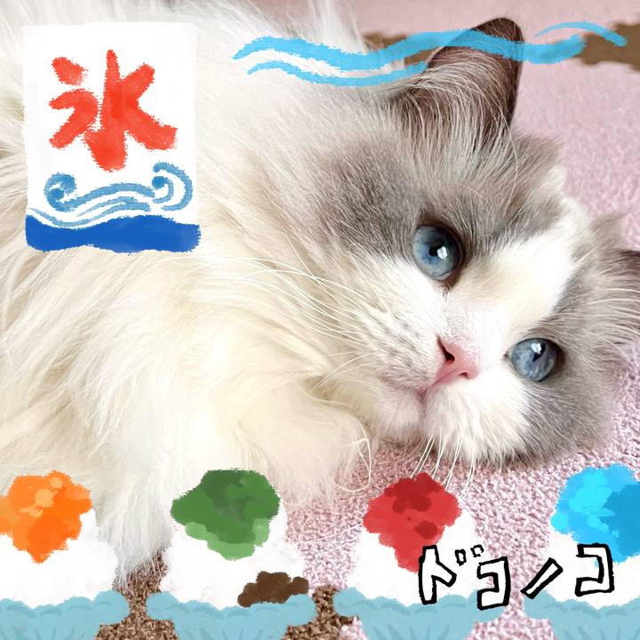 A9f4ef87 e1de 46d3 8fb4 9436442c77a0 1723286586279