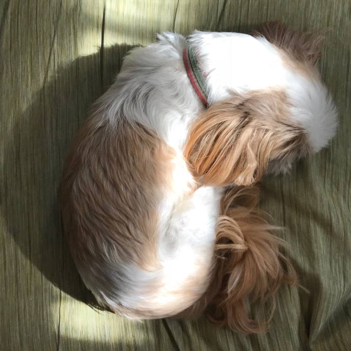 A9f53abd 85f1 4bf8 a492 dda37f2355d0 1509974739982