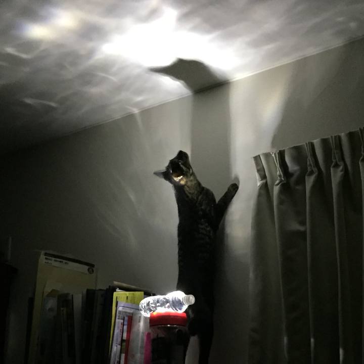 A9f53dd8 97c5 45a8 8178 5367db7797a6 1536231816531