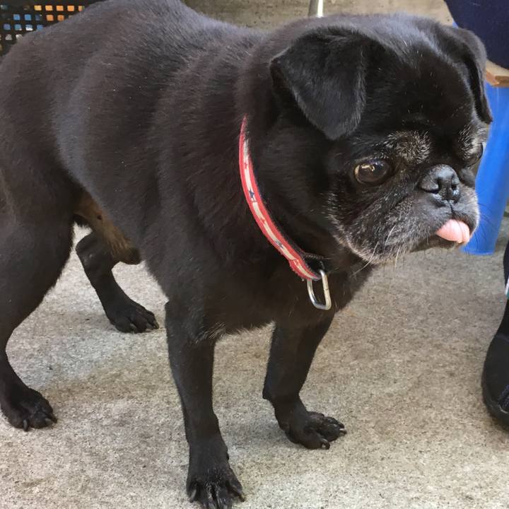 A9f548f3 f888 4bd9 9633 bcf90ba40a4a 1543489270700