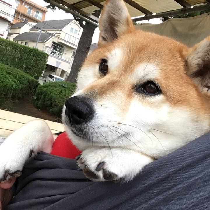 A9f56200 b4d0 48a8 bec0 faf8fb75e1ce 1566599872454