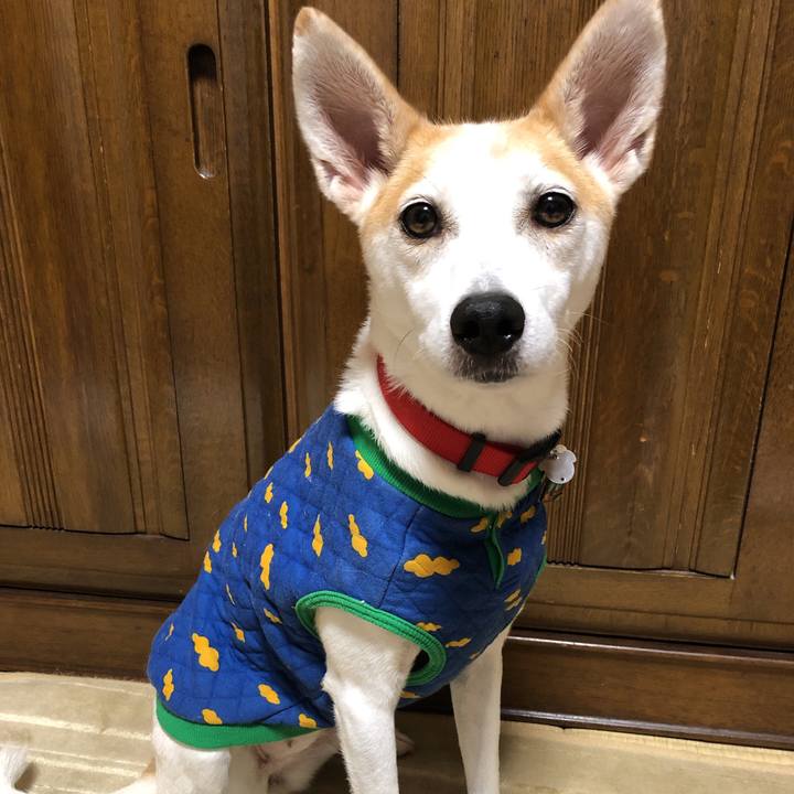 A9f56a4c 350d 4114 a029 541f66815e34 1601214623089