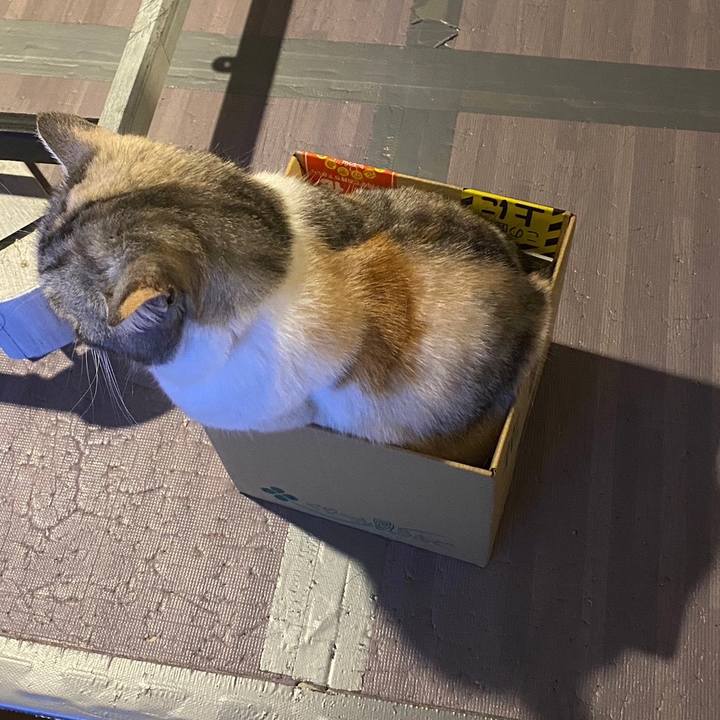 A9f58c7f 2bb3 41ff a7f1 f636f5d9b2e1 1683938243828