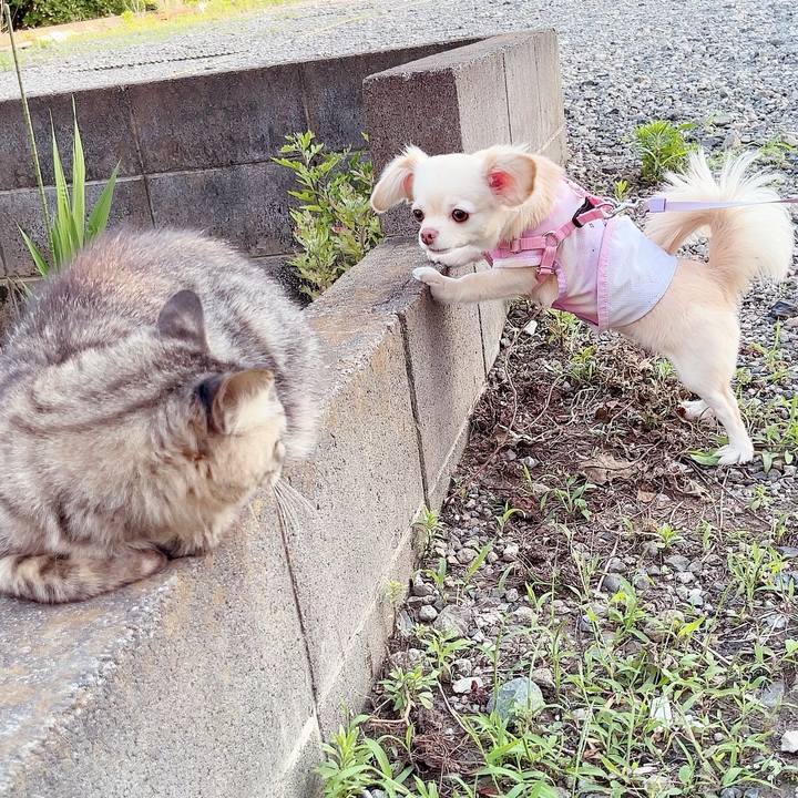 A9f5950d c8b1 4576 966c 7905fdf885fd 1686997259565