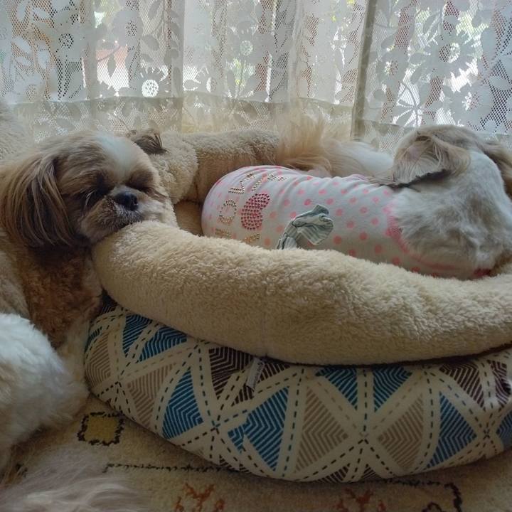 A9f59a52 43d6 4389 87c5 31fcb812070f 1690512796073