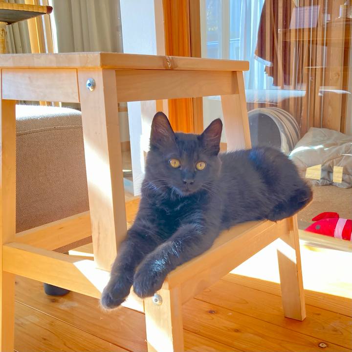 A9f5ff20 b8fd 4ce3 b813 25f0ab6e50e1 1703656355789