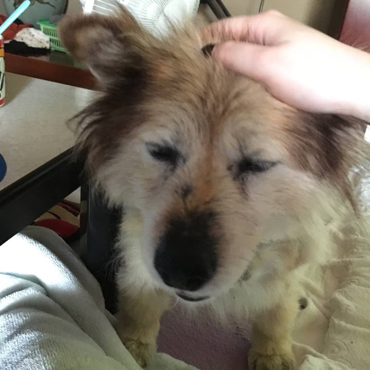 A9f60ce3 7e3d 4950 9c0a b290b05ab3e4 1619317823676