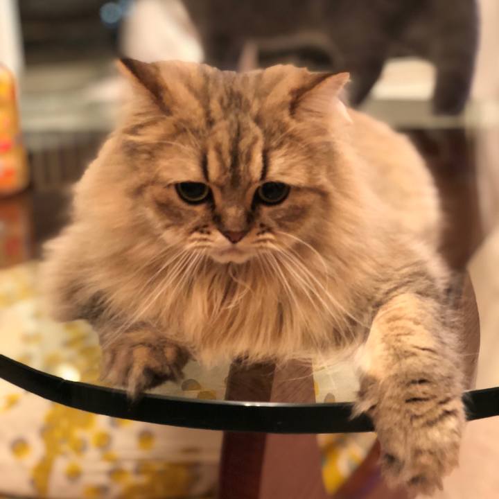 A9f62dd1 67ad 4da6 9c64 4821bc88d4f6 1538747816534