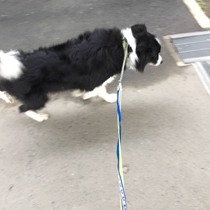 A9f652b1 ed03 4090 8a0b 66a4b744519c 1574898713420