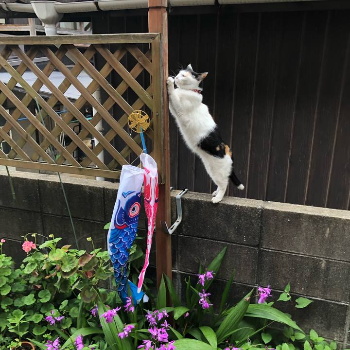 A9f6540b 9c89 4b3d a0ee 678ac77995f5 1619821911409