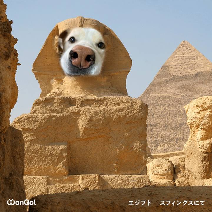 A9f661fb a8bd 473d 9967 0f62c061f2f1 1615297393410