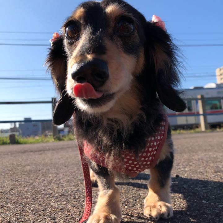 A9f6a63b af57 4c44 9d9e 6d9ebf086ba1 1583453231604