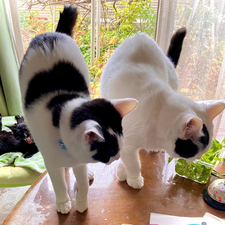 A9f6ccac a606 4251 b1b1 baeb4d80b683 1636354810268