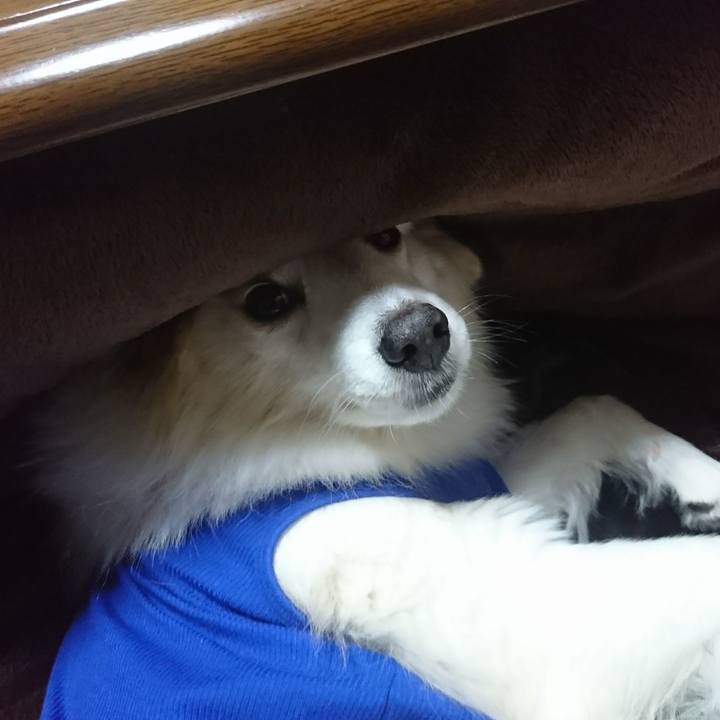 A9f6edfa 37b2 46f3 ac45 6e5ee18b53c9 1518950916197