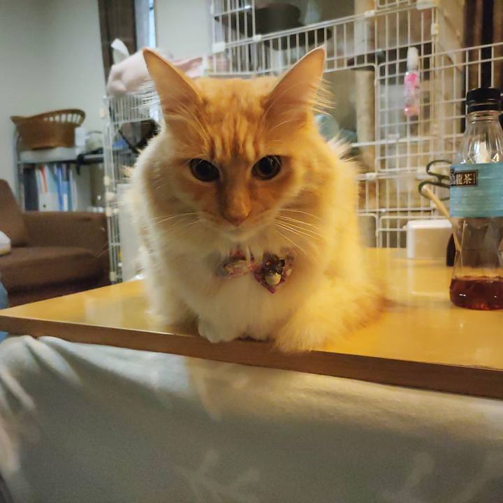 A9f705a7 b568 46a4 a3bc c882b5b385f5 1668030757909