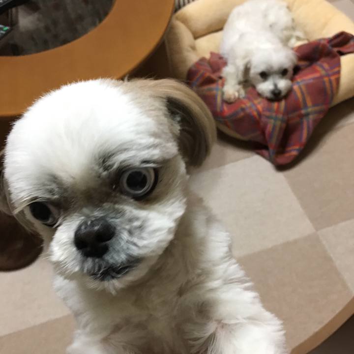 A9f718e7 7166 43e5 8830 82324368641c 1554033398293