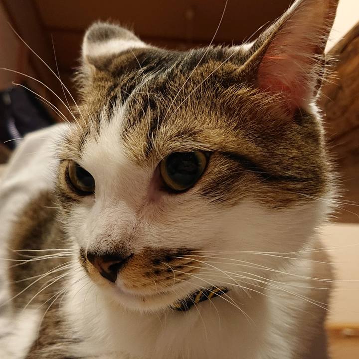 A9f74f4e 6397 4d9f 810d b89776c02277 1577008567894