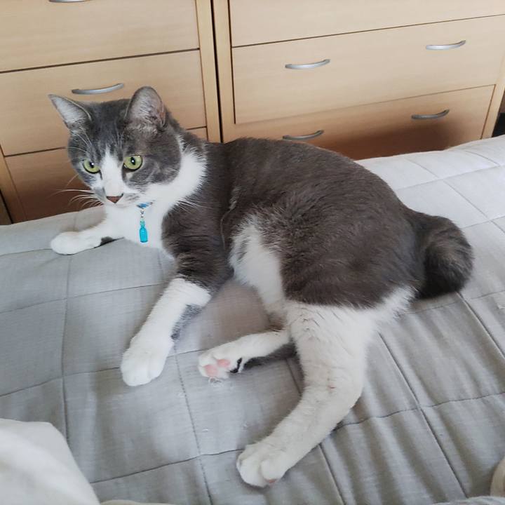 A9f7593d 2440 4f30 8432 a9acc488b73a 1659392311716