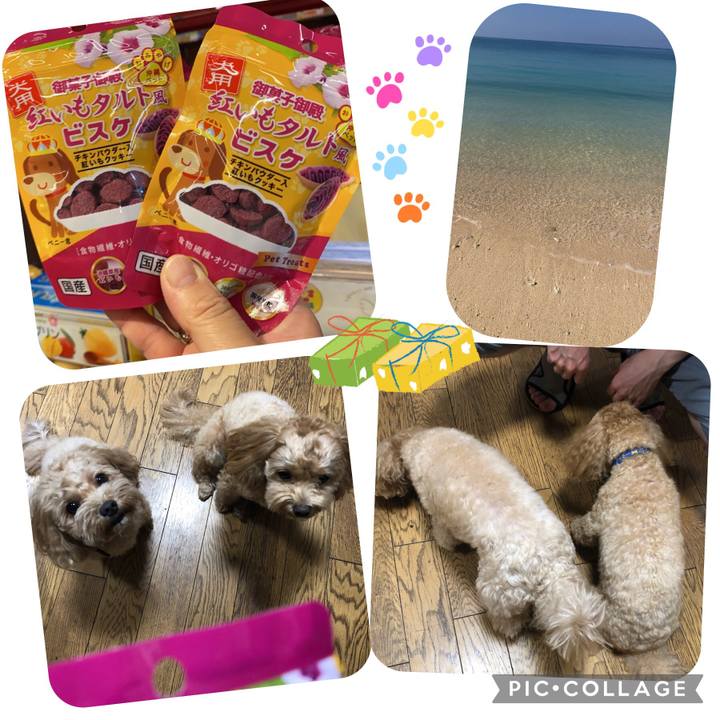 A9f77671 5a1f 4505 9b0a ecf0a7a0b4c0 1665354998419