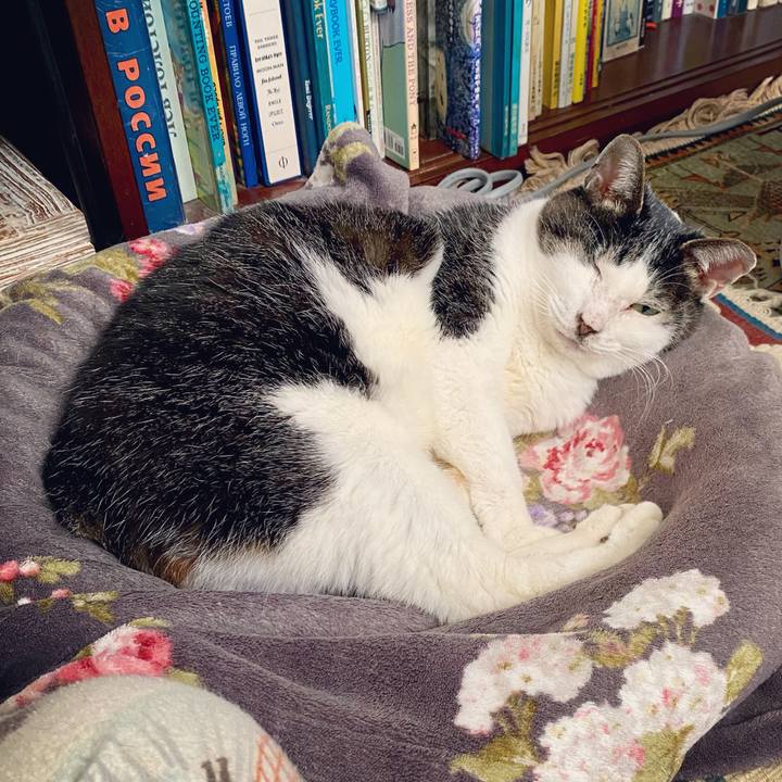 A9f78c47 4a81 4b65 bd76 525bbfb1ce05 1610353185603