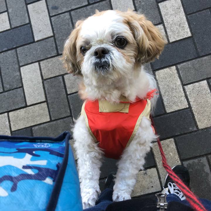 A9f79071 d7bf 4c31 8aca 5b6548c7faa8 1587592145291