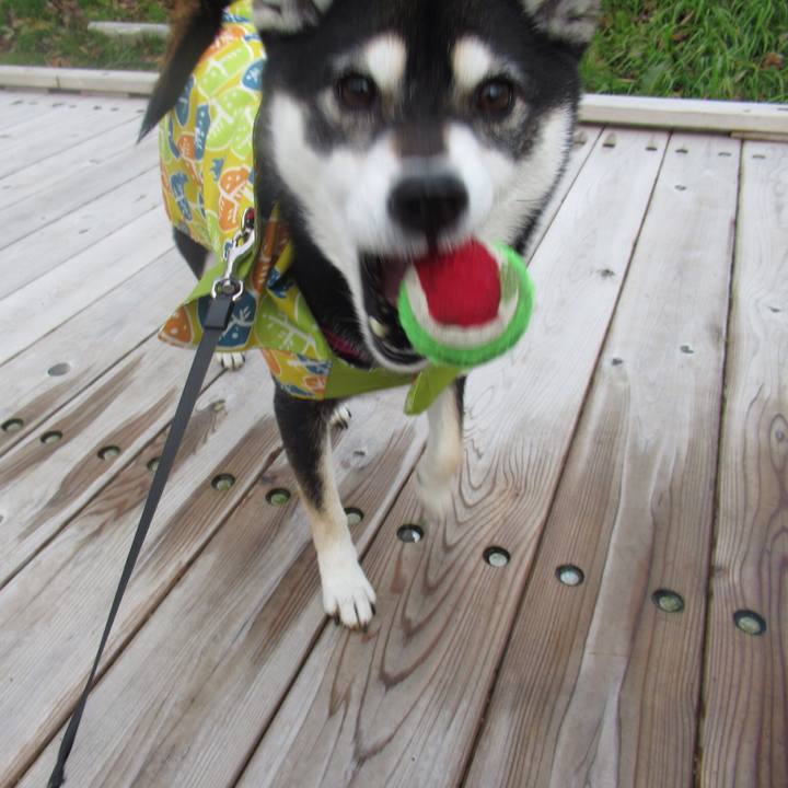 A9f7ea16 c90e 47c2 a942 7c83b4fe747a 1545785796688