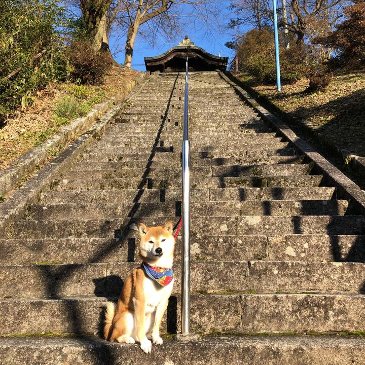 A9f81465 f438 4088 9122 4c82b21d806e 1546516861657