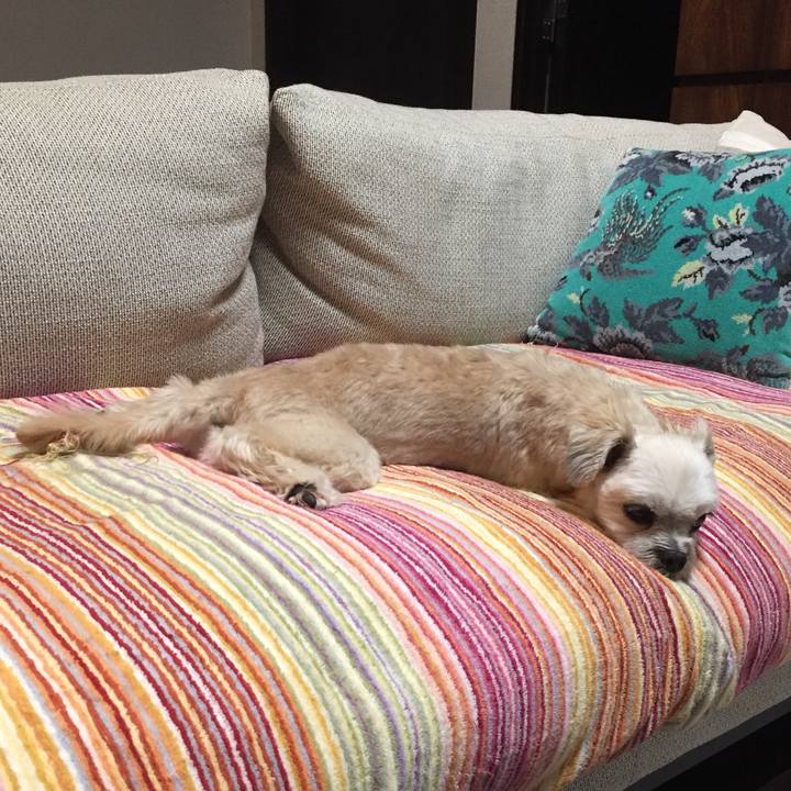 A9f8a190 bce1 4a2a b5f6 d20f299dd06b 1565613352719