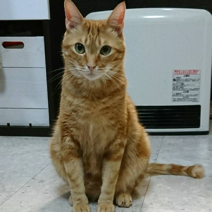 A9f8cf18 49b2 496b 8370 885c620afba7 1557058230033