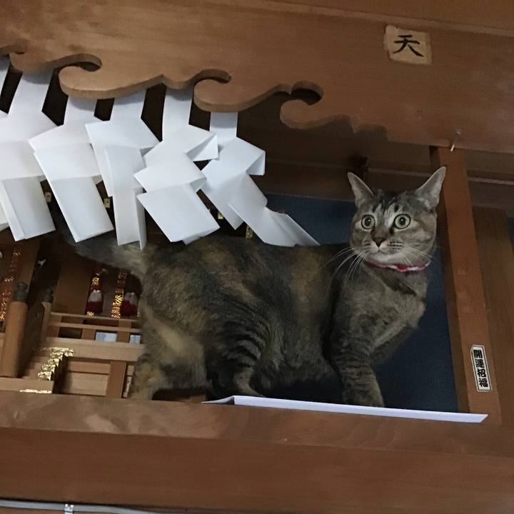 A9f8d3ba cde1 4036 a8aa eb7fc7495c06 1606793007617