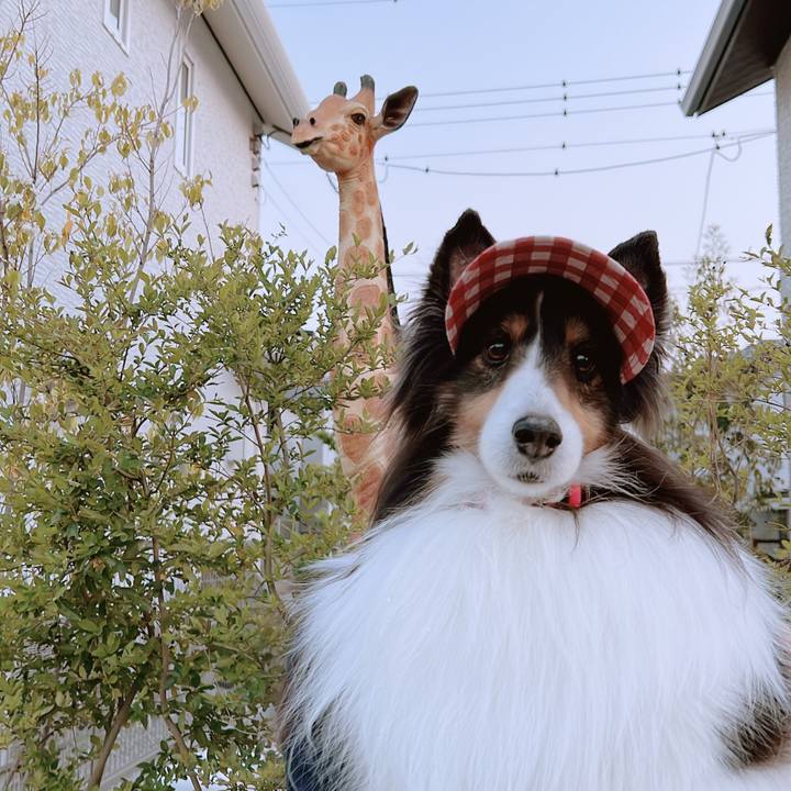 A9f8d6f4 7cde 4095 829b 24cb9fe05d9b 1650394509780