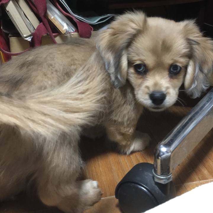 A9f8e57c fdef 4f42 8717 cb5754fbfff8 1535241678918