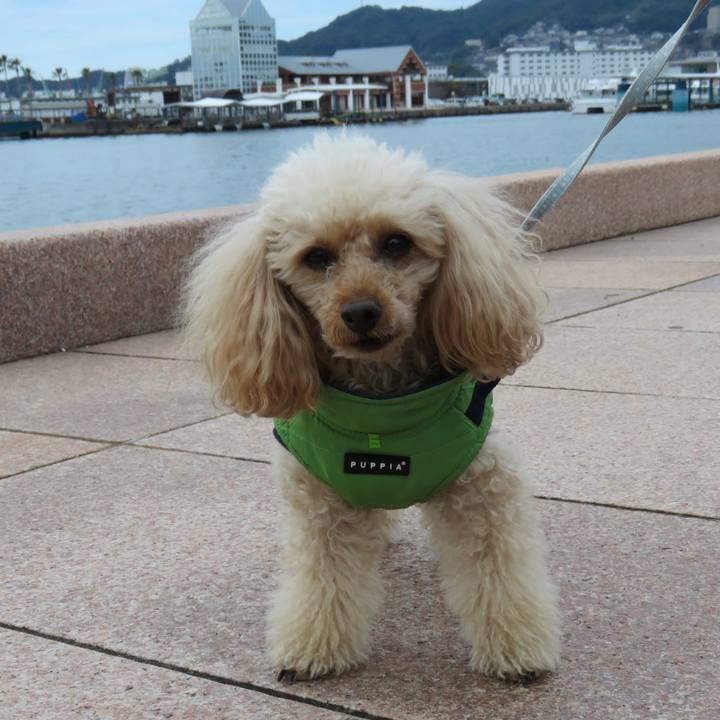 A9f8f254 e182 4a61 91c9 9497519a0e31 1642847183239