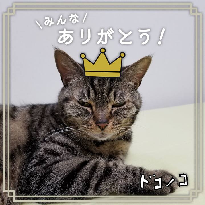 A9f9053f a1d4 4711 8652 cdacefa77e92 1623360499062