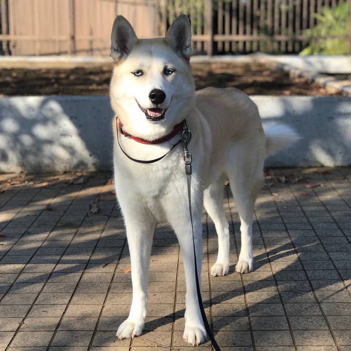 A9f94be9 fedf 47ab b2b7 d8d36d8e59d1 1541377342135