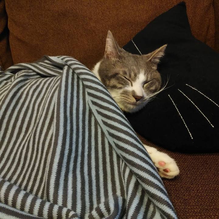 A9f94ffb 540b 4ed6 9f10 57b1b1dc0a8d 1584169364546