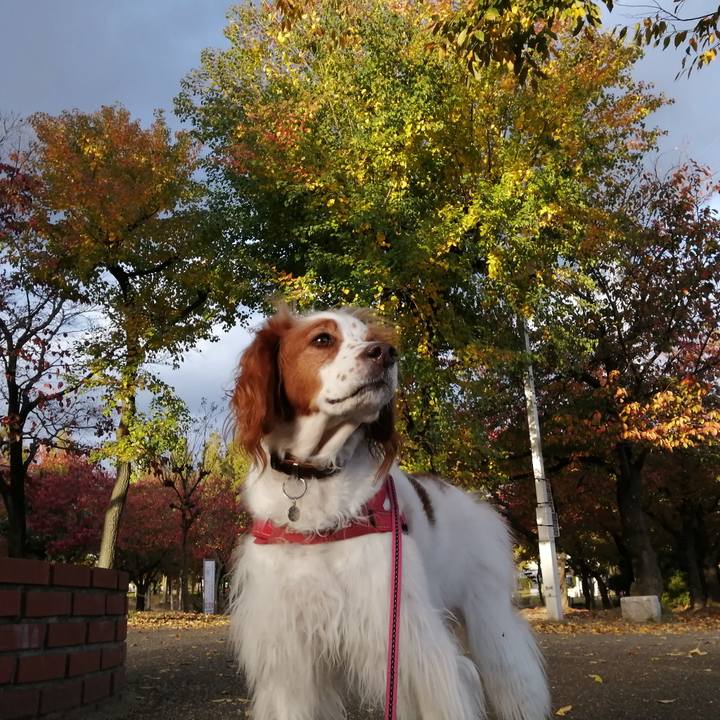 A9f95308 fab4 4bc5 bb09 9efc60772397 1604922779190