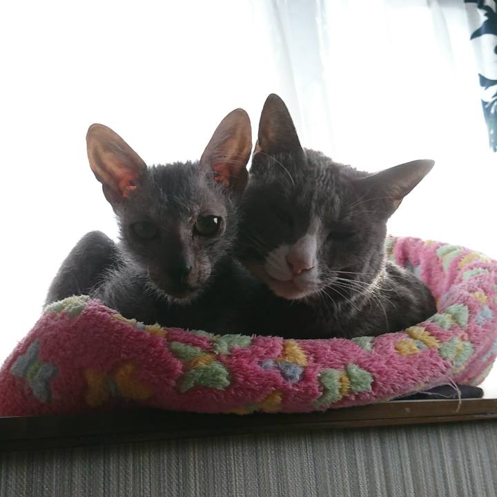 A9f97bd4 2c75 4c8a 8431 3ada0676d8e4 1516355874063