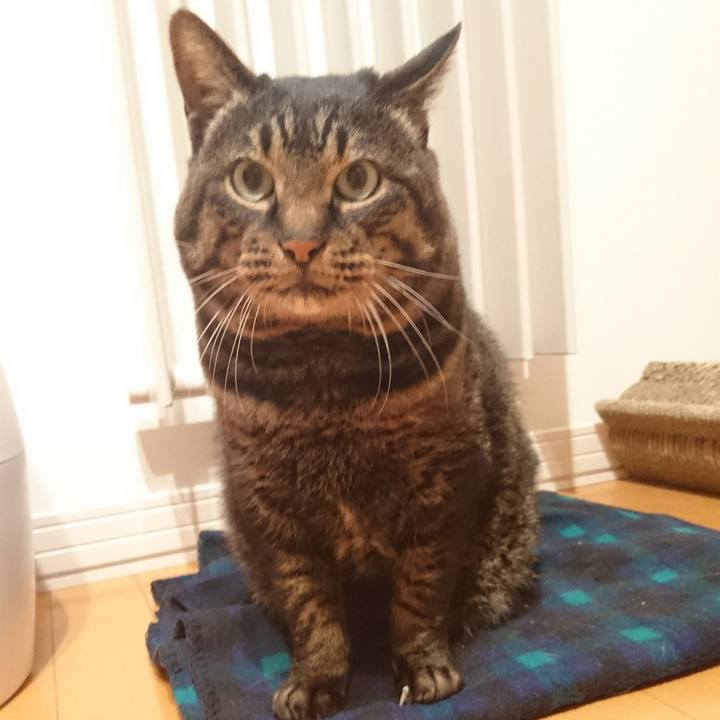 A9f9e631 5dbd 4397 ad9a 06e891dc4ee6 1557989928237