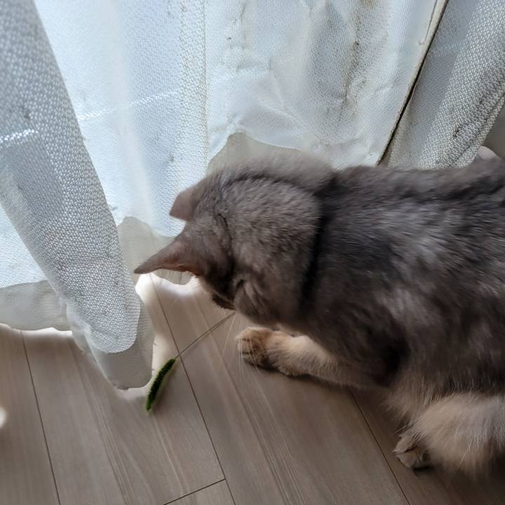 A9fa0767 3c72 4de8 a044 c16c469709b1 1657519967578