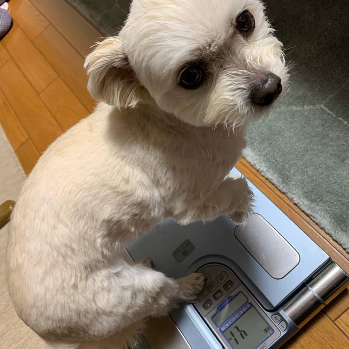 A9fa361e 1fc4 4250 bda2 924ae72ff2ef 1648815527627