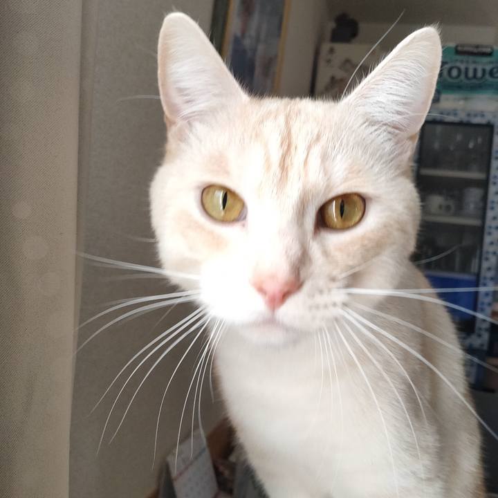 A9fa6b41 85d6 41e4 9bcc e4ac5386246c 1673486513451