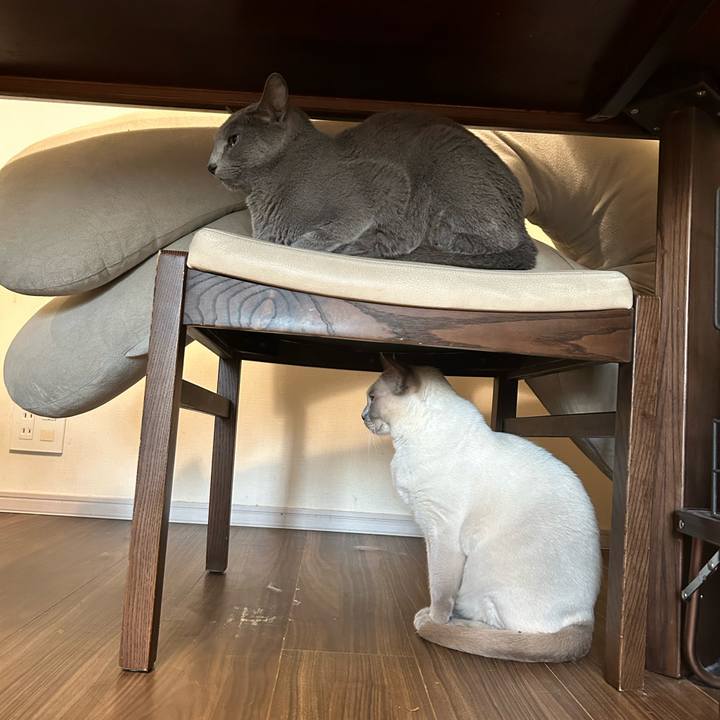 A9fa7af3 2b18 4ca7 9449 c23c167d26a0 1737929278871