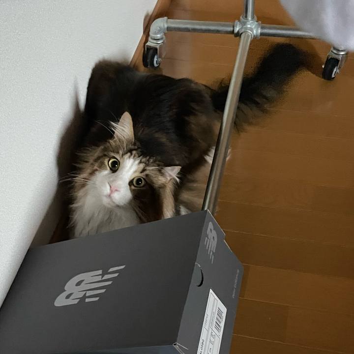 A9fa9995 71e7 4482 8ea6 f184047d35a3 1685303746701