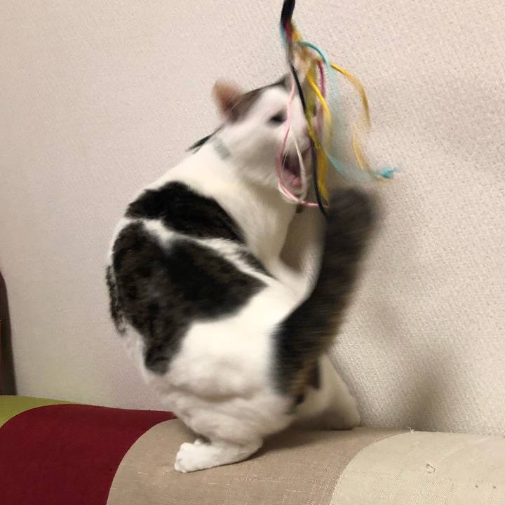 A9faafb1 d314 4eaf 89ae 0872a8a86462 1528982261423