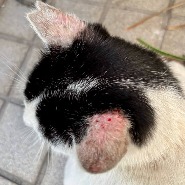 A9fb067a f6f5 424a ac2a 5de7841a633a 1759739920438