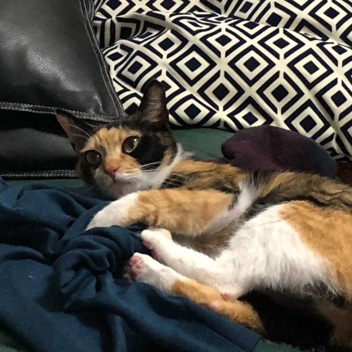 A9fb1c23 2f06 4a8f 8e10 c03dafcb7713 1545134276170